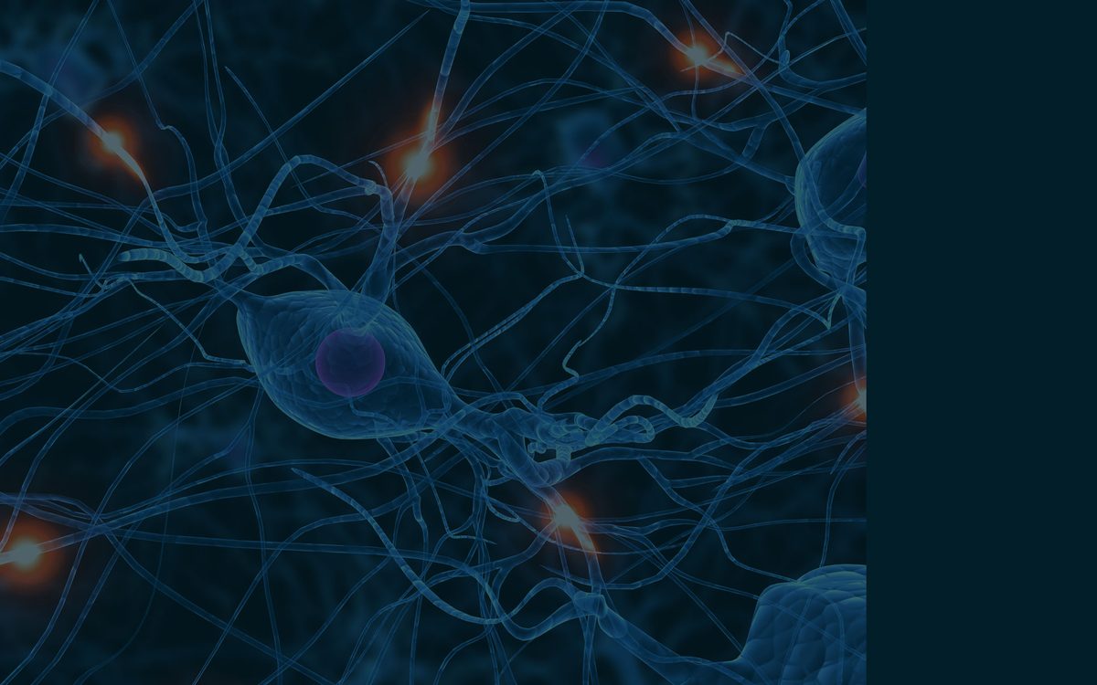 Motor neuron illustration
