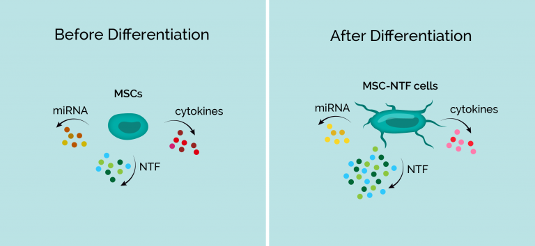BrainStorm Discover Innovate Deliver Delivering on the Promise of